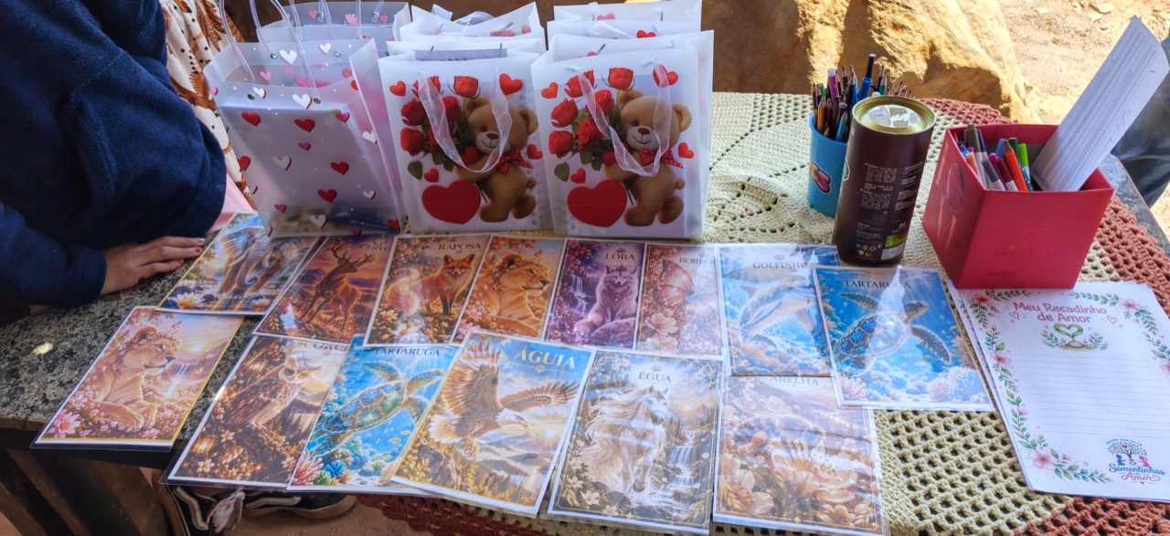 Mesa com cartões ilustrados, sacolas de lembranças e materiais do Projeto Florescer.